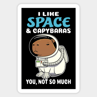 I Like Space and Capybaras you not so much cartoon Magnet